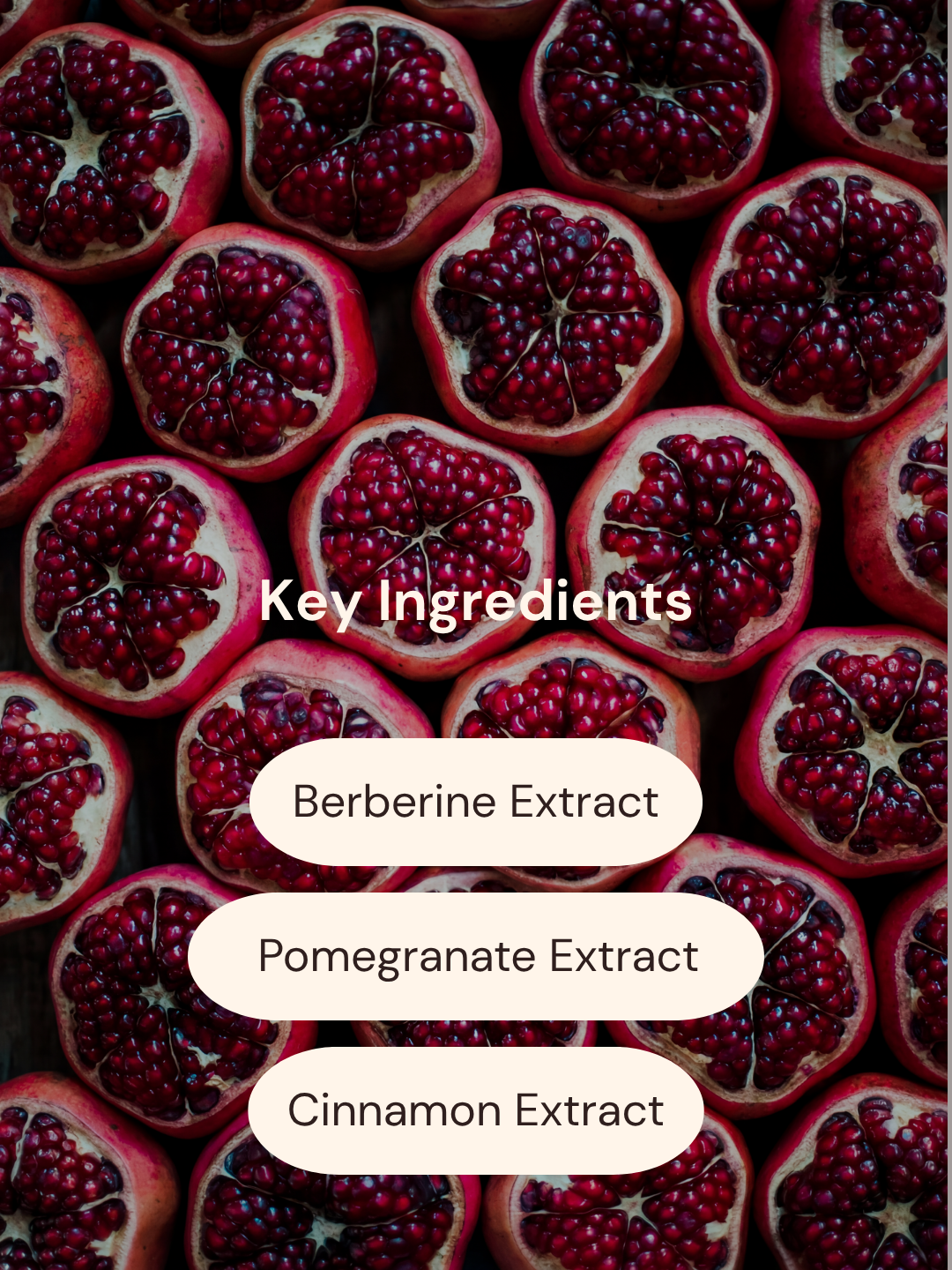 GLP-1/Berberine Patches