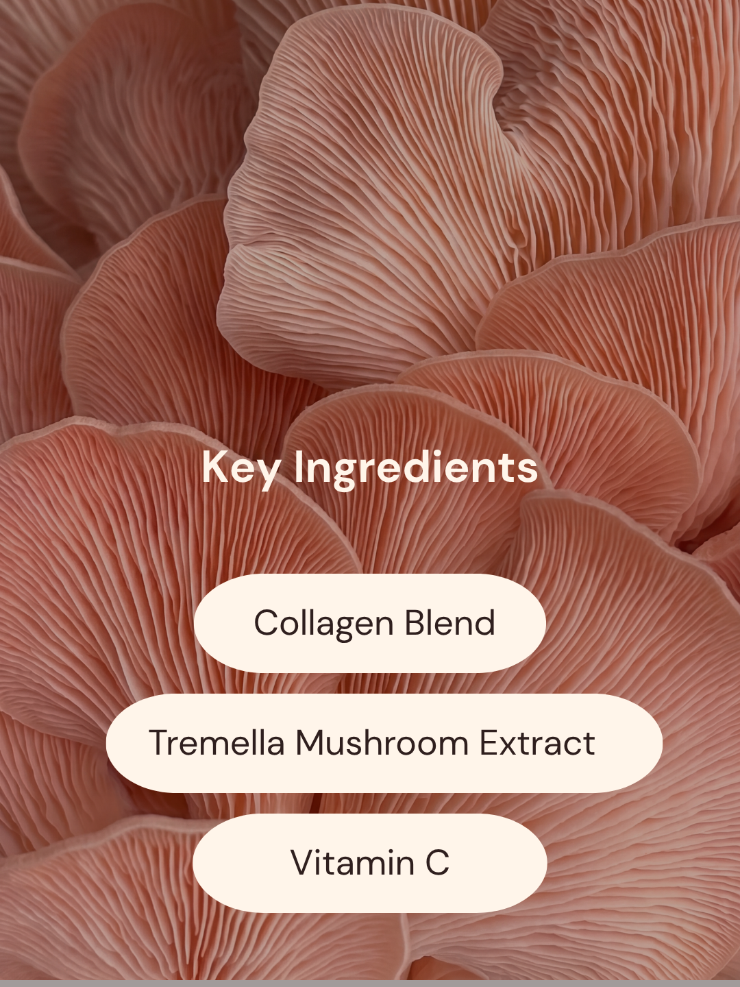 Collagen Patches