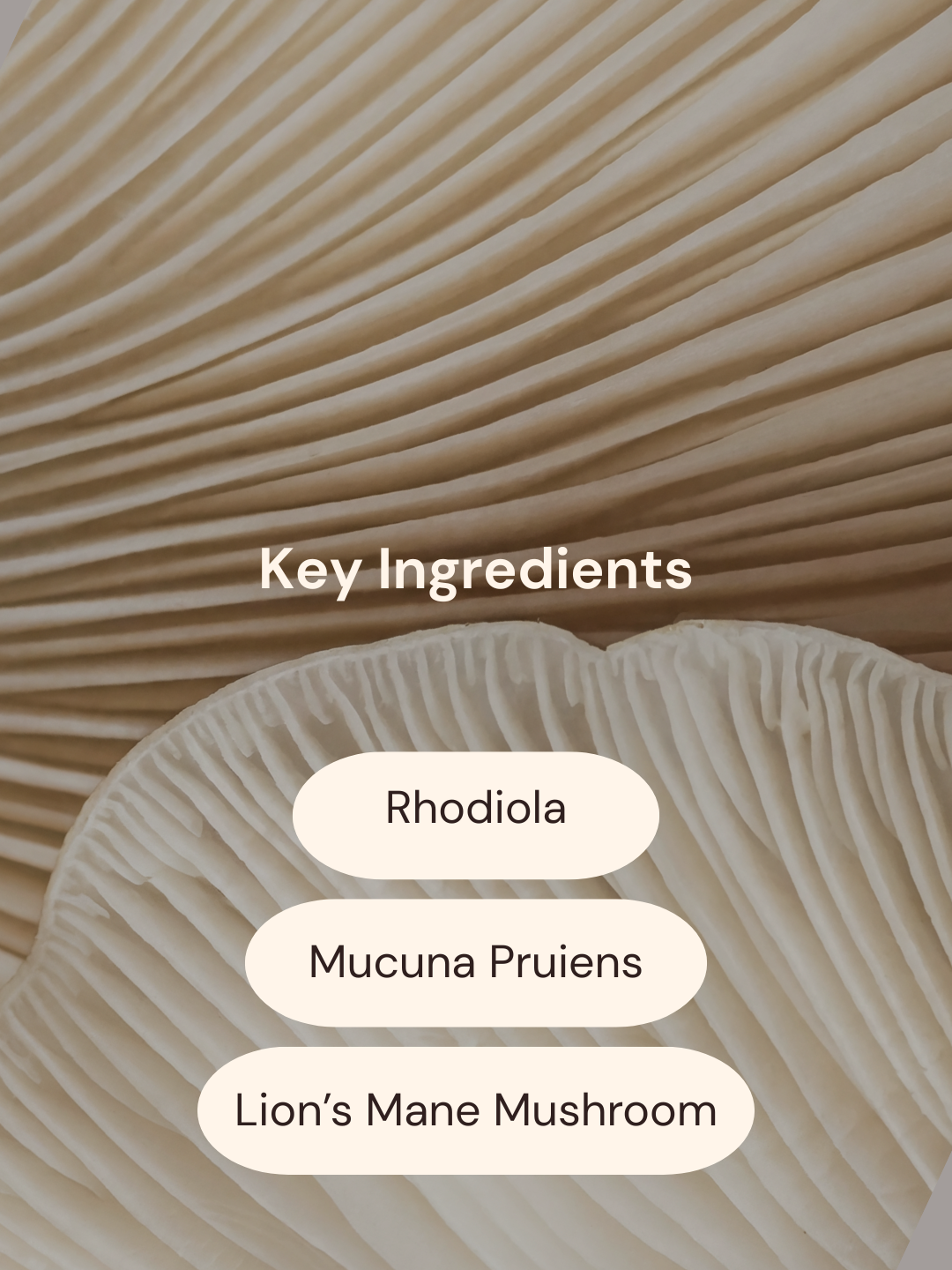 Dopamine Patches