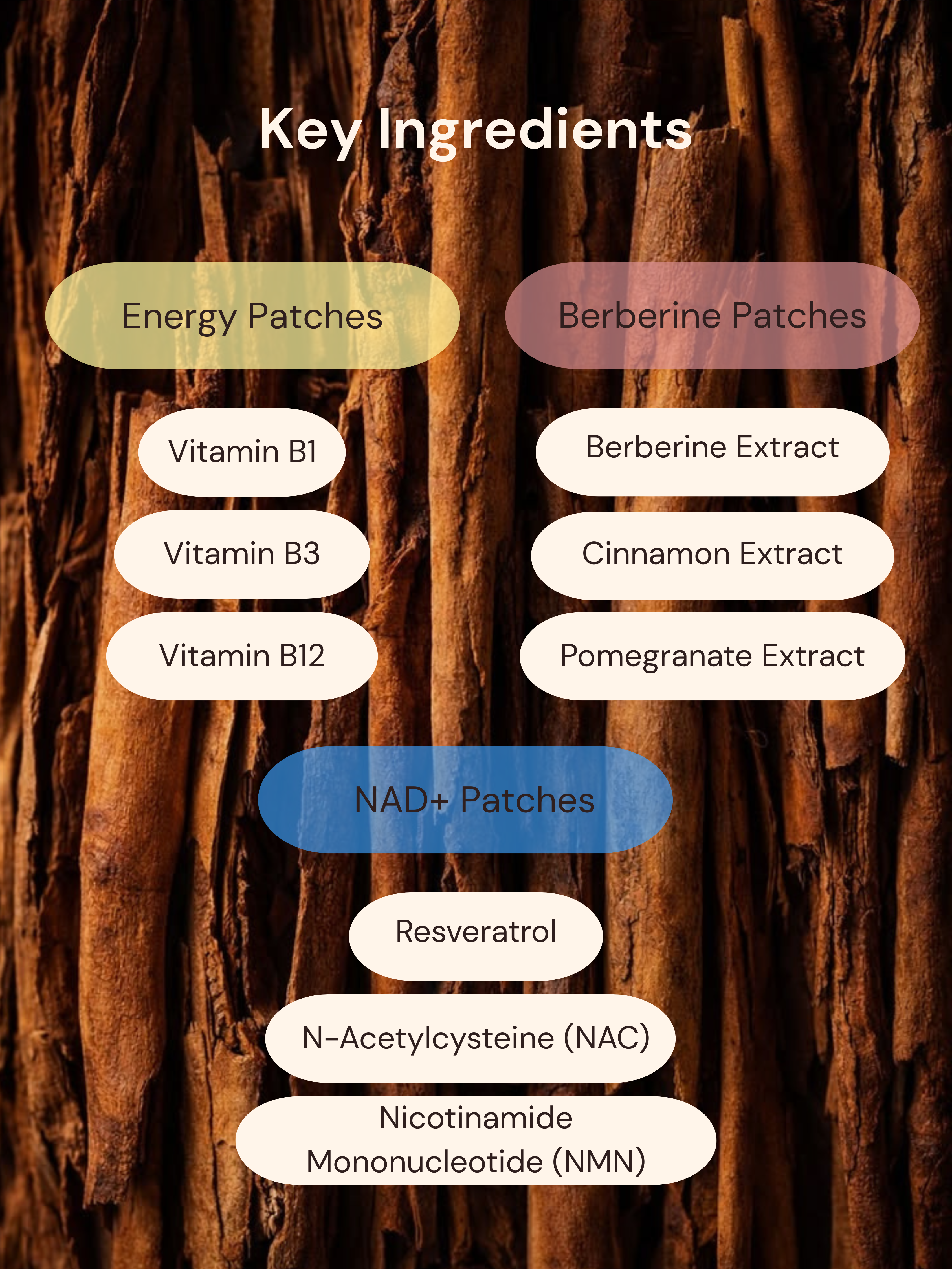 The Sharp Mind Bundle